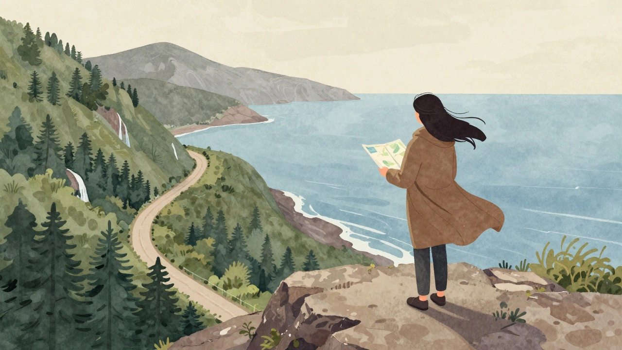 Человек стоит на скале с видом на Японское море, ветер развевает одежду, в руке карта, вокруг — лес и горы.