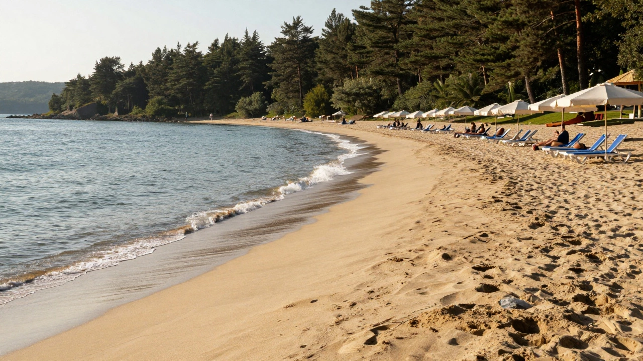 Где можно отдохнуть этим летом в России: лучшие морские курорты