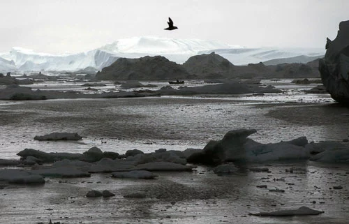 Scientists from six countries will examine the impact of the Lena River on global warming