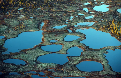 Scientists from six countries will examine the impact of the Lena River on global warming